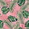 Watercolor painting monstera,coconut leaves seamless pattern with shadow on pink background.Watercolor llustration palm,pink leaf,