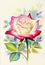 Watercolor painting original realistic happy postcard colorful flower of rose