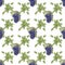 Watercolor painting pattern green leaves and blue grapes. Seamless.