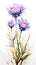 a watercolor painting of purple flowers on a white background.Watercolor Painting Thistle Bluebell, Perfect for Wall Art.