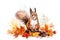 Watercolor painting of a squirrel in autumn between autumn leaves. Generative AI