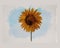 Watercolor painting sunflower