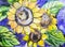 Watercolor painting sunflowers on a blue background