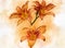 Watercolor painting of three vibrant orange day lily flowers. Botanical illustration
