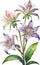 Watercolor painting of Toad Lily flower. Illustration of flowers. AI-Generated.