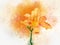 Watercolor painting of a vibrant orange day lily. Botanical illustration