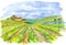 Watercolor painting of vineyard