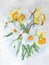 Watercolor painting of white and yellow Narcissus flowers