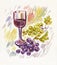 Watercolor painting of wine with grapes