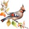 Watercolor paintings of colorful Bohemian waxwing birds. Ai-Generated.