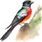 Watercolor paintings of colorful elegant trogon birds. Ai-Generated.