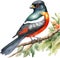 Watercolor paintings of colorful elegant trogon birds. Ai-Generated.