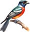 Watercolor paintings of colorful elegant trogon birds. Ai-Generated.