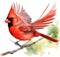 Watercolor paintings of colorful Northern cardinal birds. Ai-Generated.