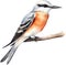 Watercolor paintings of colorful Scissor-tailed flycatcher birds. Ai-Generated.