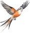 Watercolor paintings of colorful Scissor-tailed flycatcher birds. Ai-Generated.