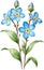 Watercolor paintings of Wood forget-me-not flowers. Ai-Generated.