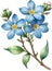 Watercolor paintings of Wood forget-me-not flowers. Ai-Generated.