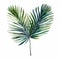 Watercolor Palm Leaves: Ingrid Baars Inspired Isolated Heart Leaves
