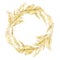 Watercolor pampas graas wreath for design boho and modern style . Golden frame south America, feathery flower head plumes for wedd