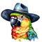watercolor parrot with a colorful cowboy hat. AI-Generated.