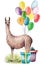 Watercolor party lama card. Hand drawn illustration with air balloons, gift box, grass and llama isolated on white