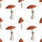 Watercolor pattern with amanita