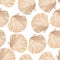 Watercolor pattern of bivalve mollusk shells isolated on a white background.