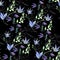 watercolor pattern with blue flowers and branches and grass flowers on black background