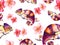 Watercolor pattern with bright chameleons and delicate pink flowers. Tropical background for textiles, packaging, Wallpapers and o