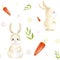 watercolor pattern easter rabbit carrot and plants