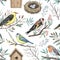 Watercolor pattern with garden spring birds on blooming branches, nest and birdhouse. Hand-drawn print in retro style for design