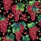 Watercolor pattern of redgrapes bunches