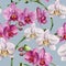 Watercolor pattern with white and pink orchids. Hand painted floral botanical ornament. For design, fabric or print.