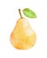 Watercolor Pear fruit with leaf on white