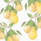 Watercolor pear, watercolor yellow pear, background pear, botanic