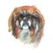 Watercolor Pekingese dog portrait