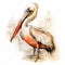 Watercolor Pelican Illustration With Realistic Lifelike Details