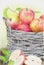 Watercolor pencil illustration of  a basket with red apples