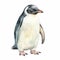 Watercolor Penguin Illustration With Orange Tips On White Background