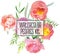 Watercolor Peonies Kit