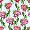 Watercolor peony flowers seamless pattern on blue background. Floral texture for design, textile and background. Botanical