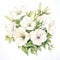 Watercolor Petunia Painting White Charm Flowers On White Background