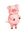 Watercolor picture cheerful pink piggy