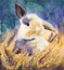 Watercolor picture of a cute fluffy rabbit on the field of yellow flowers