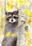 Watercolor picture of a cute  racoon