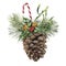 Watercolor pine cone with holiday decor. Hand painted pine cone with christmas tree branch, bells, candy, holly and