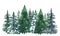 Watercolor pine trees background. Banner with hand painted evergreen forest, isolated. Snow winter wonderland illustration
