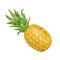 Watercolor pineapple digital illustration. Hand painted yellow exotic fruit isolated on white background. Summer