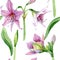 Watercolor pink amaryllis flower. Floral botanical flower. Seamless background pattern.